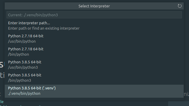 set interpreter virtualenv